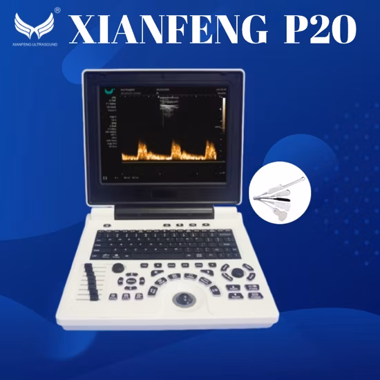 Portable-Radio-Brushless Motor Design-4000mAh Battery-Cordless/Electric-Car/Floor/Garden/Walls/Flowers...etc-Power Tools/Cleaning Machine-High Pressure Washer