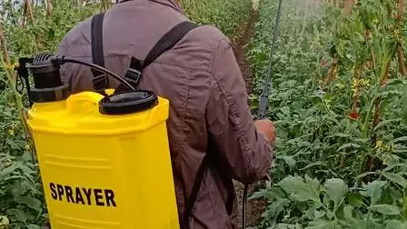 농약 소독 살균 농업 배낭 농장 정원 배터리 전기 배낭 수동 분무기 (HT