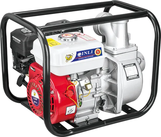 22/30bar 농업 관개용 가솔린 엔진 들것 유형을 갖춘 휴대용 동력 분무기